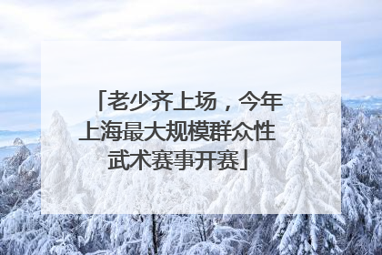 老少齐上场，今年上海最大规模群众性武术赛事开赛